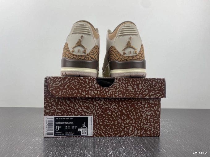 CT8532-102 Jordan Air Palomino 3 0816